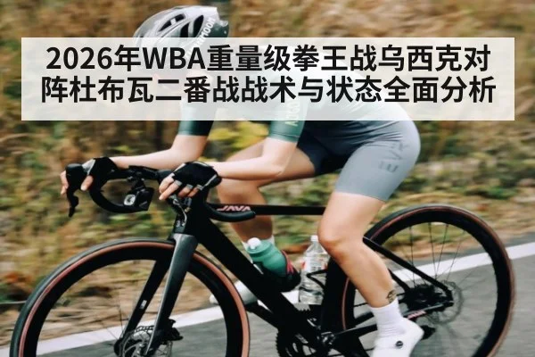 2026年WBA重量级拳王战乌西克对阵杜布瓦二番战战术与状态全面分析